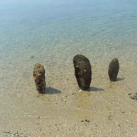 Chiona΄s By The Sea * Paleo Trikeri