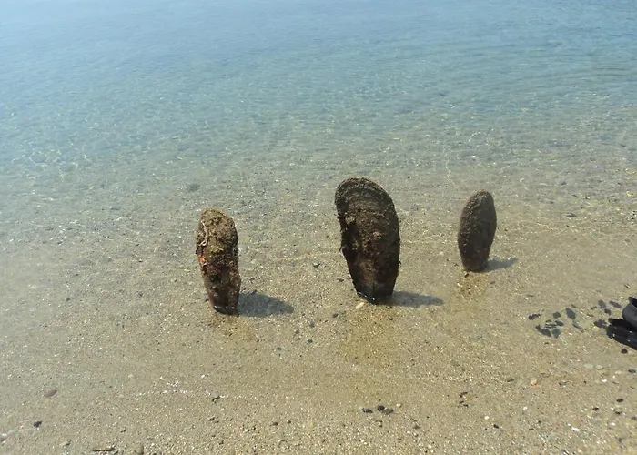 Chiona΄s By The Sea * Paleo Trikeri